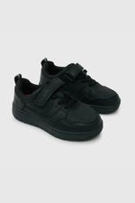 bbfb3068-5c5e-4236-9902-d7c6a1665217-77210201i24-1