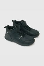 38cc12ba-11b5-4d54-bde3-df8211f8dd6d-77230201i24-1