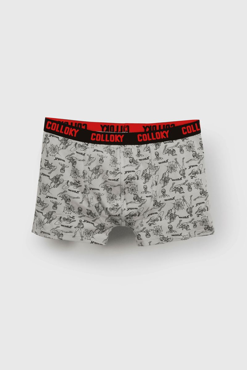 d17310a5-9d54-475d-843a-b18afd457882-bxsx1902i25-3