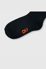 4a07a8f3-0d89-4a35-bbf6-b964ec86f079-c2csu550i24-2