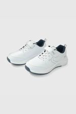 137185e3-b23e-458b-a4e0-4bba14b10d8a-77050250i24-1