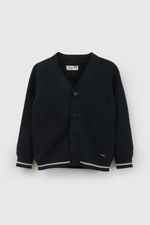 chla0157i26-1