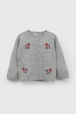 chla0206i26-1