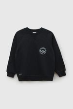 plpo3151i26-1