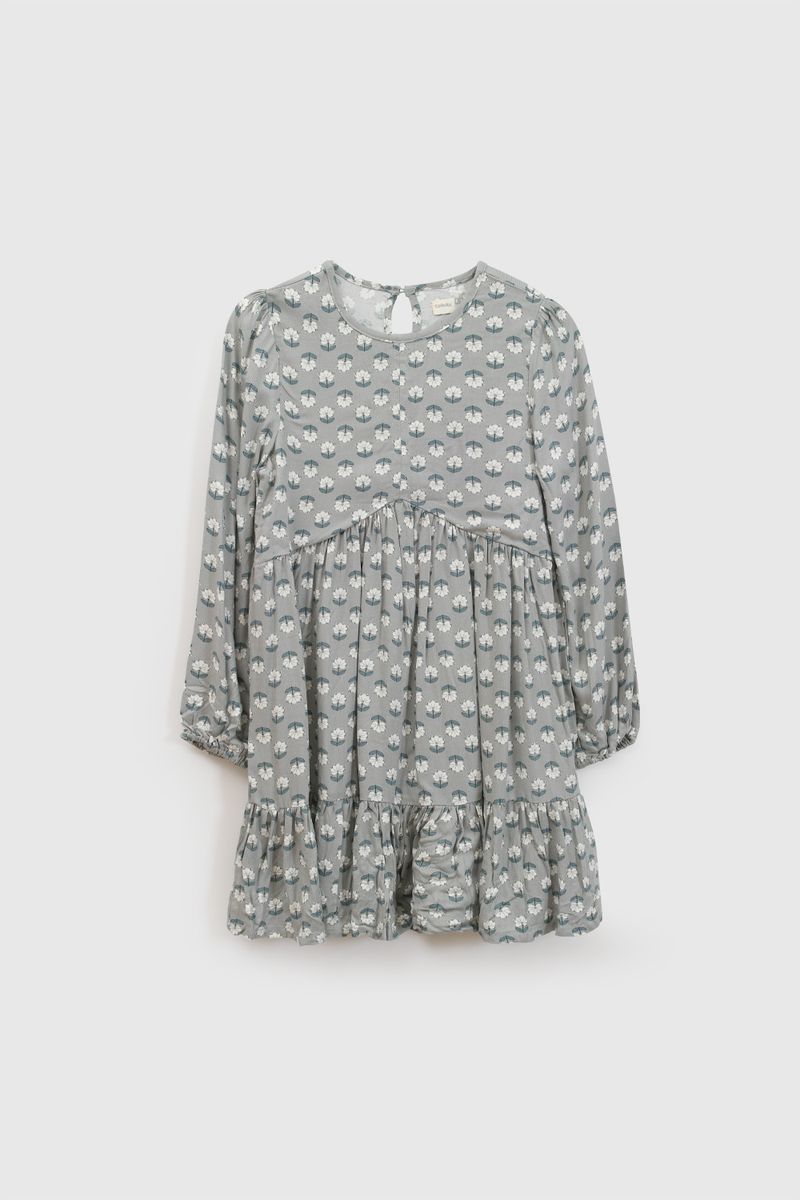 p-vevs0294i26-1