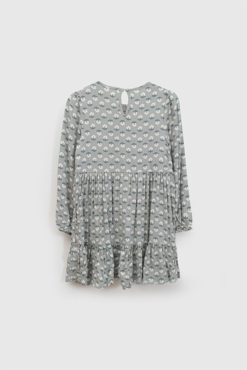 p-vevs0294i26-2