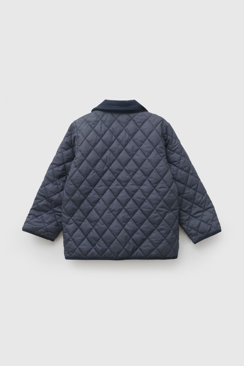 p-cqpy0557i26-2