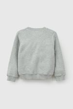 p-chla0106v27-2